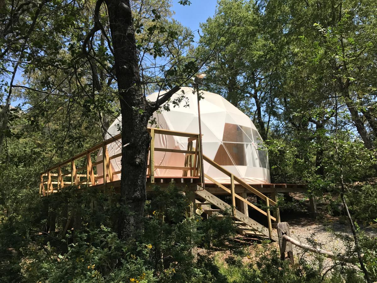 Отель Glamping Domos Treepod Лас Транкас Экстерьер фото