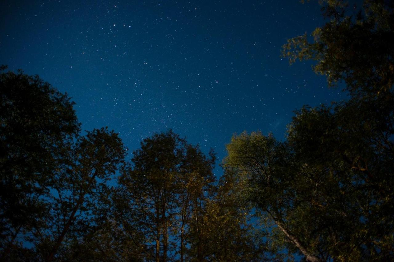 Отель Glamping Domos Treepod Лас Транкас Экстерьер фото